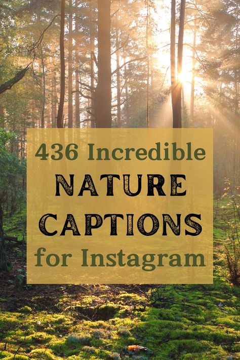 Make your nature photos stand out on Instagram with these nature quotes and captions! Best nature captions, best nature quotes, inspiring nature quotes, nature photography captions for Instagram, short nature captions, short nature quotes, unique nature quotes, outdoors captions, outdoors quotes, aesthetic nature captions, sunset captions, forest captions, ocean captions, lake captions, nature adventure captions, outdoor life quotes, outdoorsy captions, Insta captions for nature photos Nature Photography Captions, Forest Captions, Photography Captions For Instagram, Ocean Captions, Short Nature Quotes, Lake Captions, Nature Puns, Nature Captions For Instagram, Travel Puns