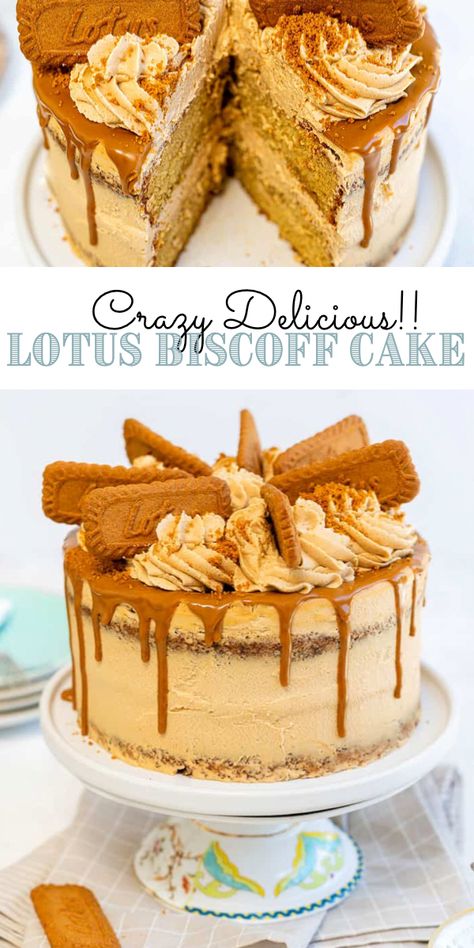 Cookie Butter Cake Recipes, Cake Recipes No Bake, Cake Biscoff, Lotus Biscoff Cake, Biscoff Buttercream, Biscoff Recipes, Biscoff Cake, Biscoff Cookie Butter, Butter Cake Recipe