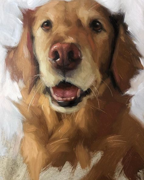 Jennifer Gennari, Pet Portrait Paintings, Dog Portraits Painting, Dog Portraits Art, Oil Painting Inspiration, Arts Gallery, Animal Portraits Art, 강아지 그림, Artist Drawing