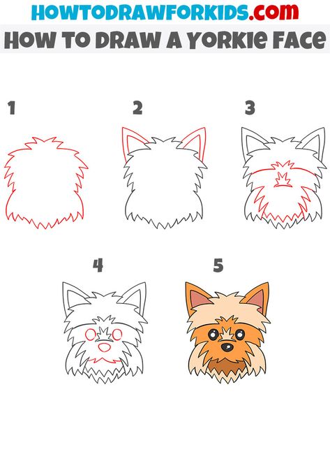 Yorkie Doodle Drawing, Yorkie Sketch Drawings, Yorkie Painting Easy, How To Draw A Yorkie Step By Step Easy, How To Draw A Yorkie, How To Draw A Dog Face, Yorkie Drawings, Yorkie Drawing, Directive Drawing