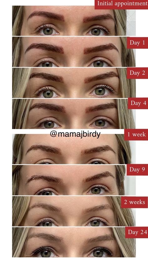 Microblading healing day by day + my experience! – mamajbirdy Brows Microblading Before After, Microblading Color Correction, Microblading Eyebrows Before And After Blonde, Micro Blading Vs Micro Shading, Micro Blading For Blondes, Micro Blading Before And After, Natural Microblading Eyebrow Shapes, Microblading Healing Process By Days, Micro Blading Healing Process