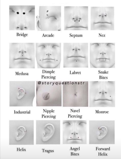 Nose Piercing Names Chart, Piercings Face Chart, Types Of Nose Piercings Chart, Piercings For Oval Face, Face Peircings Name Chart, Unique Facial Piercings, Cute Facial Piercings Nose, All Face Piercings, Cool Face Piercings