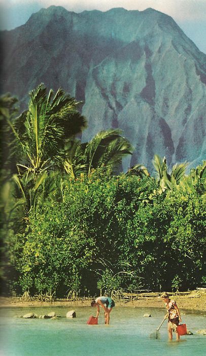 Vintage National Geographic, National Geographic Photography, Vintage Hawaii, Hawaiian Islands, Tarzan, Big Island, New Wall, Pretty Places, Island Life