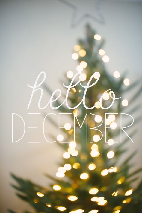 #hellodecember #christmas #tree #christmastree #merry #tistheseason #happyholidays Insta Templets, Hi December, Dear December, Feed Layout, Instagram Feed Layout, Hello December, December Birthday, December 2022, December 22