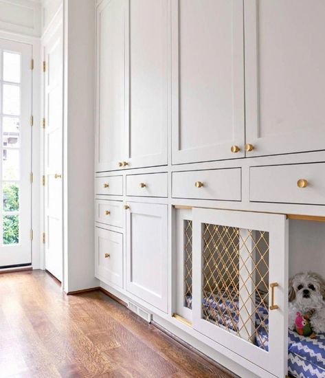 dog room modern #dogroommodern Custom Dog Houses, Mudroom Design, Dog Crates, Dog Room, Mudroom Laundry, Laundry Mudroom, Mud Rooms, Dog Rooms, Boot Room