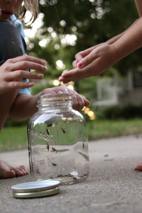 Summer evenings Catching Lightning, Lightening Bugs, Lighting Bugs, Lightning Bugs, Catching Fireflies, Mountain Park, Good Ole, Classic Kids, In A Jar