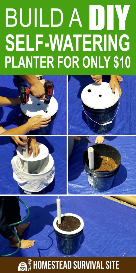 In this video, Epic Gardening explains how to make a simple DIY self-watering planter using only $10 worth of materials. #homesteadsurvivalsite #planters #planterideas #diyplanters #gardening Self Watering Planter Diy, Bucket Planting, Garden Peppers, Diy Self Watering Planter, Pvc Crafts, Epic Gardening, Creative Explained, Mason Jar Planter, Plant Watering System