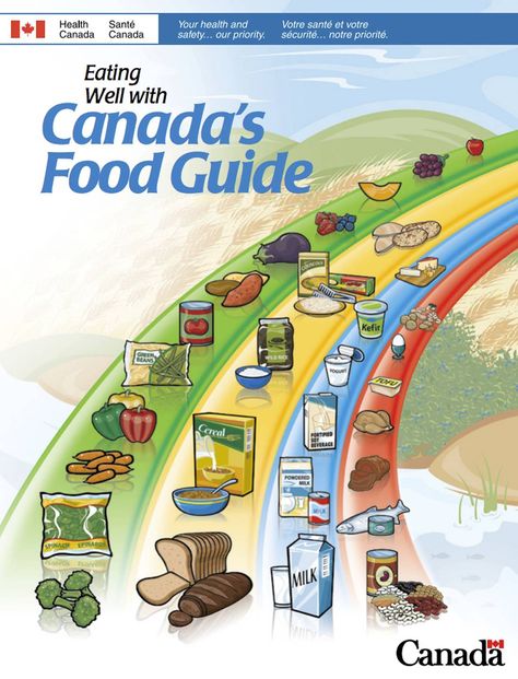 Canada’s current food guide, published in 2007. Canada Food Guide, Canada Food, Food Pyramid, Canadian Food, Juicing For Health, Healthy Food List, Kids Diet, Group Meals, Plant Based Protein