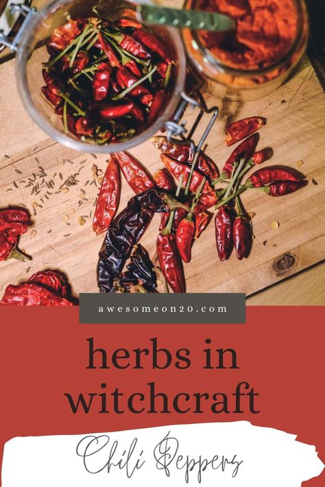 Chili peppers are a staple in my kitchen, so we're examining this fiery fruit for this month's Herbs in Witchcraft series. Let's examine their healing and metaphysical properties, as well as their use in witchcraft. It's sure to be hot and spicy. The post Herbs in Witchcraft: Chili Peppers appeared first on Awesome on 20. Cayenne Pepper Witchcraft Uses, Cayenne Pepper Witchcraft, Herbs In Witchcraft, Vegetarian Jalapeno Poppers, Chili Magic, Winter Herbs, Buffalo Chicken Pinwheels, Cayenne Pepper Benefits, Hearth Witch