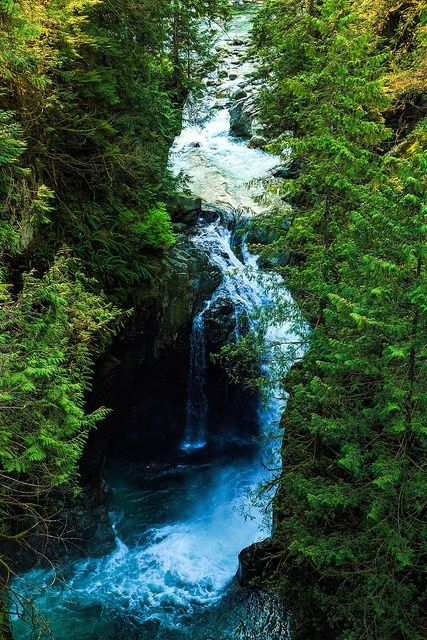 Lynn Canyon Park, North Vancouver, BC #river #forest #beautiful Vancouver Forest, Vancouver Trip, Pnw Adventures, Vancouver Vacation, Lynn Canyon, Vancouver Travel, River Forest, Canadian Travel, North Vancouver