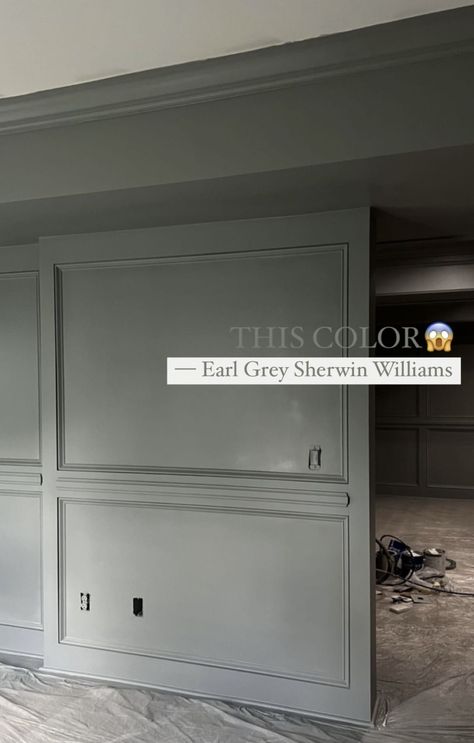 Slate Grey Accent Wall, Earl Grey Sherwin Williams, Earl Gray Sherwin Williams, Sedate Gray Sherwin Williams, 1800 Farmhouse, Basement Paint, Sherwin Williams Blue, Basement Paint Colors, Stonington Gray