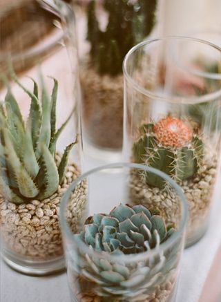 succulents in jars... must do! Glass Cylinder Ideas, Grey Gravel, Succulents In Glass, Cupcake Table, Green Succulents, Plant In Glass, White Rocks, Glass Votives, Tafel Decor