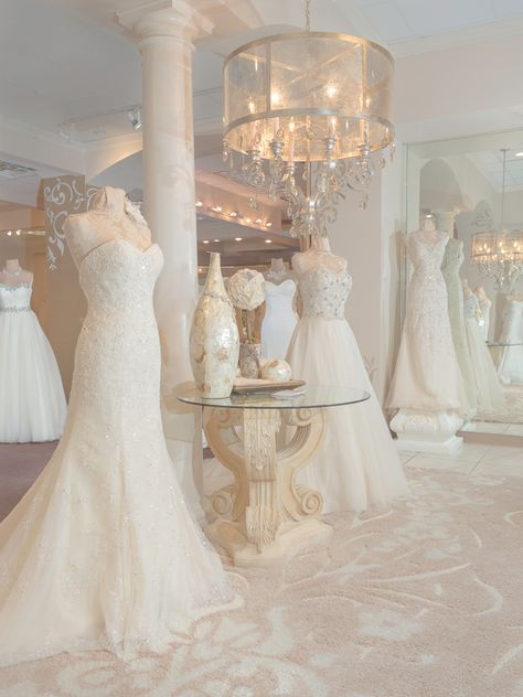 Bridal Shop Interior, Bridal Shop Decor, Bridal Shop Ideas, Sorella Vita Bridesmaid Dresses, Dress Boutiques, Bridal Boutique Interior, Wedding Dress Boutique, Wedding Salon, Wedding Dress Store