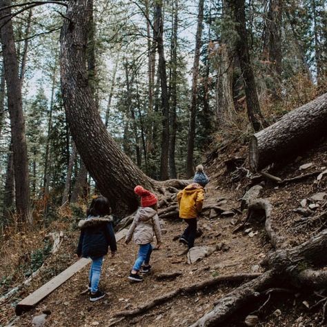 Family Hiking, Fall Things, Fall Bucket List, State Of Texas, Forest School, The Editor, Family Goals, Diy Home Improvement, Future Life