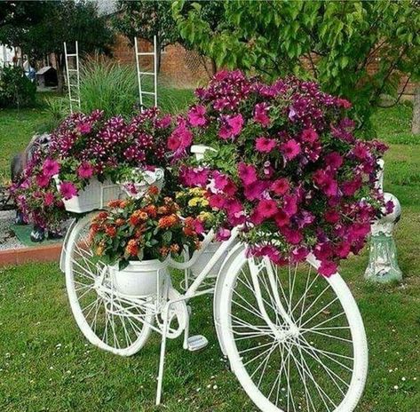 17 Super ideas for garden decorations made from old bicycles | My desired home Small Front Yard Landscaping, نباتات منزلية, Secret Gardens, Have Inspiration, Diy Yard, Garden Yard Ideas, Camping Ideas, Garden Art Diy, Cool Diy Projects