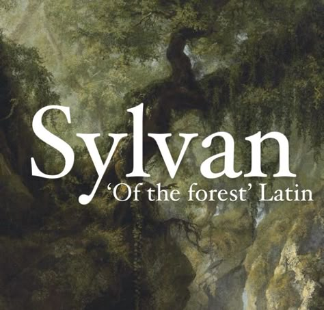 Baby boy name Sylvan. Fantasy Forest Names Ideas, Theo Name Meaning, Forest Names Girl, Names Meaning Forest, Fantasy Forest Names, Names That Mean Forest, Latin Surnames, Latin Last Names, Kingdom Names With Meanings