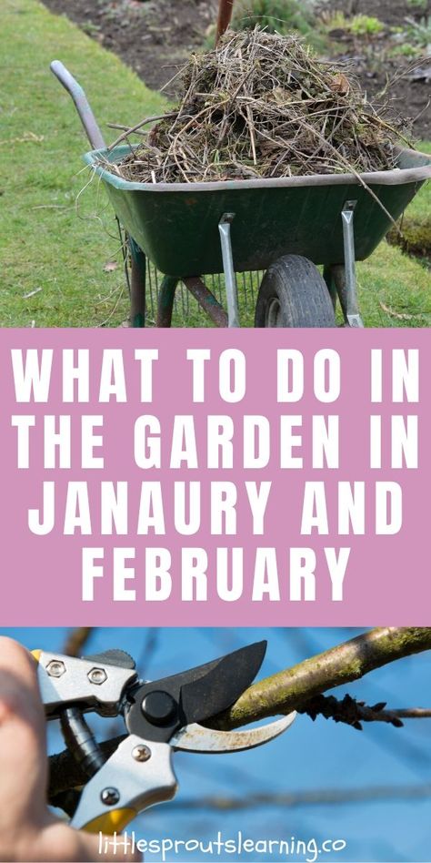 Garden In Winter, Garden Prepping, When To Plant Vegetables, Winter Vegetables Gardening, Winter Crops, Florida Gardening, Winter Vegetables, Cold Frame, Home Vegetable Garden