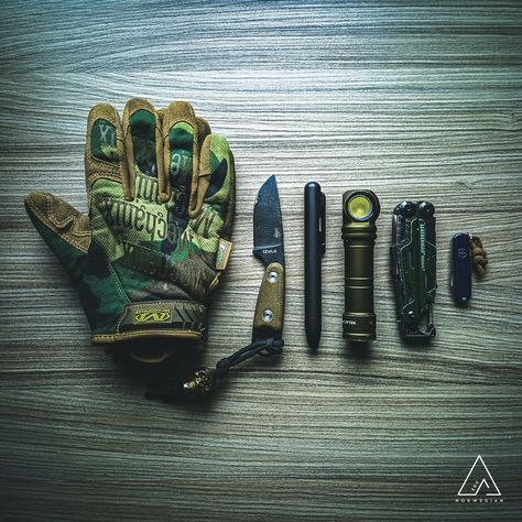 EDC addicted (@EDC_addicted) on X Mochila Edc, Urban Survival Kit, Urban Edc, Edc Carry, Edc Essentials, Pocket Tools, Edc Tactical, Tactical Gear Loadout, Urban Survival