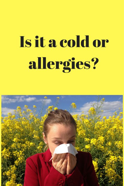 How to tell the difference between a cold and allergies. Learn the questions to ask yourself to determine if it's a cold or allergies. Remedy For Allergies, Seasonal Allergy Remedies, Natural Remedies For Seasonal Allergies, Toddler Allergies, Winter Allergies, Allergies Vs Cold, Home Remedies For Allergies, Cold Or Allergies, Allergy Medicine