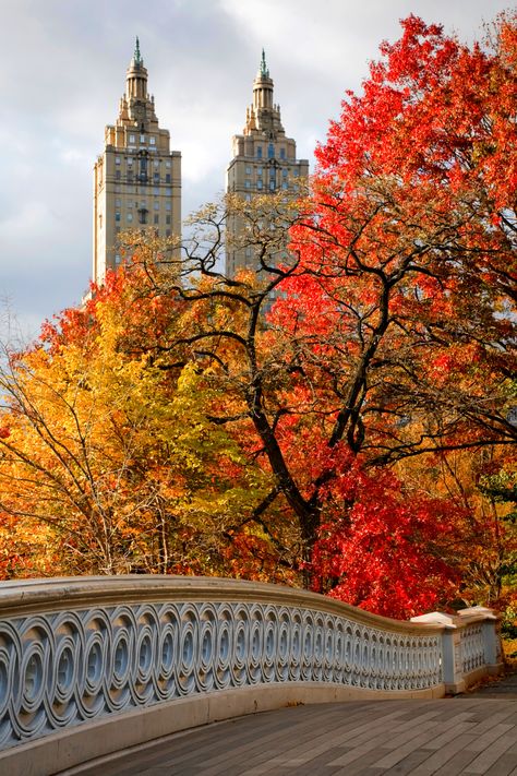 Central Park in the fall is stunning. The air is cool and crisp, the leaves are bright red, orange and yellows. Here’s a guide to fall foliage spots and activities in Central Park in the fall. Autumn In Central Park, Central Park In Autumn, Autumn In Central Park Nyc, Autumn In America, Nyc In Fall Aesthetic, September In New York, Central Park Wallpaper, New York In Autumn, Central Park Autumn