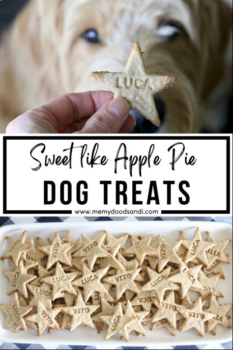 Honey Cinnamon Dog Treats, All Natural Dog Treat Recipes, Fun Dog Treats, Dog Brownies, Grain Free Dog Treat Recipes, Fruit Dog Treats, Homemade Dog Toothpaste, Apple Dog Treats, Pet Dental Month