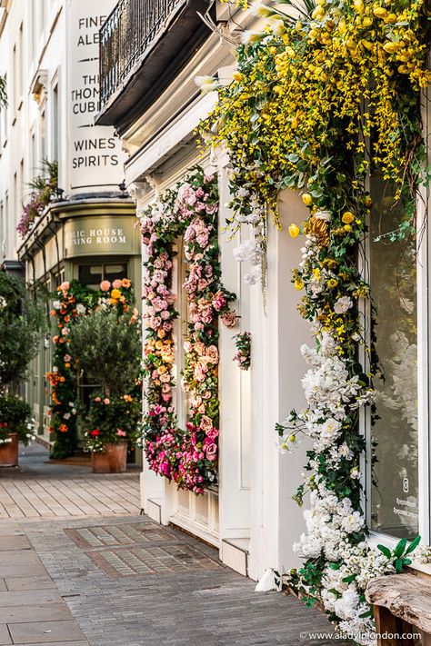 elizabeth street, belgravia, london Belgravia London, Wildlife Garden, Elizabeth Street, London Places, Beautiful Streets, Spring Vibes, Store Front, Beautiful Buildings, Facades