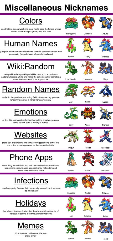 Pokemon Nickname Ideas, Pokemon Nicknames, All Pokemon Names, Pokemon Personalities, Writers Quotes, Life Cheats, Pokemon Names, Shirt Patterns, Cute Nicknames