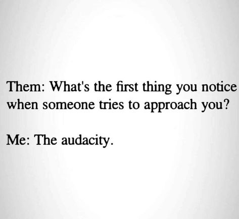 The audacity. Audacity Quotes, The Audacity, Fact Quotes, When Someone, You Tried, You And I, Funny Quotes, Math Equations, Humor