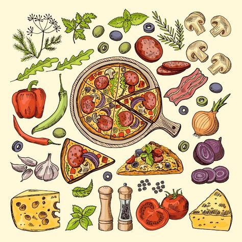 Pizza Ingredients Illustration, Pizza Illustration, Pizza Drawing, Pizza Vector, Pizza Art, Recipe Drawing, Pizza Menu, Pizza Design, Pizza Ingredients