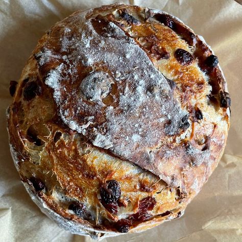 Cranberry Walnut Artisan Bread - Harvest & Nourish Cranberry Walnut Artisan Bread, Blueberry Quick Bread, Artisan Bread Recipe, Walnut Bread Recipe, Cranberry Walnut Bread, Breakfast Bread Recipes, Artisan Bread Recipes, Walnut Bread, Cranberry Bread