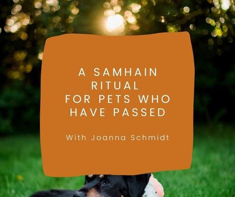 A Samhain ritual for pets who have passed" — Animal Communication | Intuitive Healing Arts | Bellingham, WA Pet Blessing, Pet Healing, The Loss Of A Pet, Blessing Ceremony, Samhain Ritual, Forest Magic, Intuitive Healing, Animal Communication, Witch Rituals