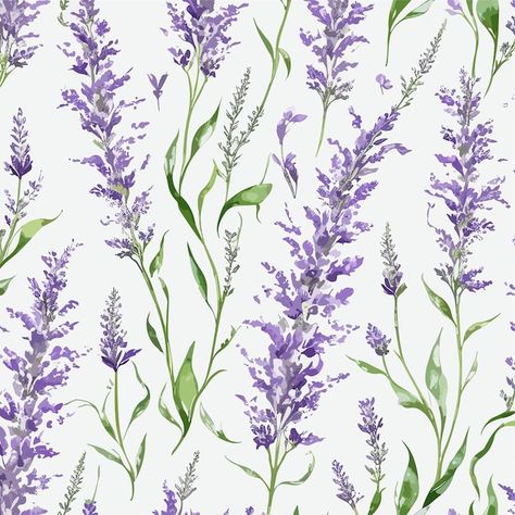 Flower Vector Illustration, Flower Vector, Seamless Floral Pattern, Pattern Flower, Purple Lavender, Seamless Pattern, Flower Patterns, Seamless Patterns, Graphic Resources