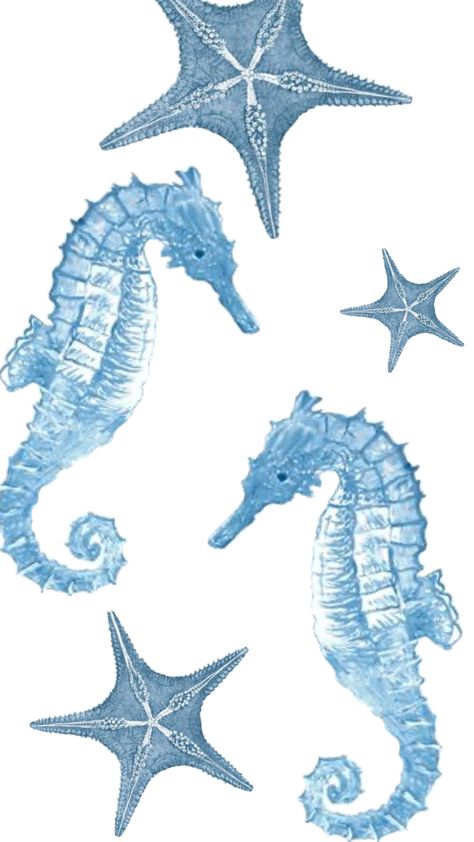 #wallpaper #beauty #coastal #seahorse #starfish #blue Seahorse Wallpaper, Seahorses, Art Collage Wall, Laptop Wallpaper, Phone Backgrounds, Wall Collage, Starfish, Collage Art, Collage