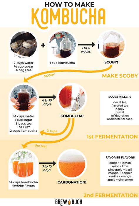 Ever wondered how kombucha - the deliciously fizzy fermented tea - is made? We're breaking down the basics of how to make kombucha, from start to finish! No fancy equipment or ingredients needed. Diy Kombucha, Make Kombucha, Kombucha Bottles, Kombucha Flavors, Kombucha Scoby, Decaf Tea, Homemade Kombucha, Kombucha Recipe, Fermented Tea