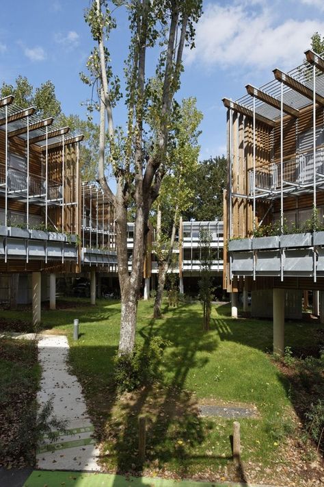 Social Housing architecture and design | ArchDaily, page 2 Collective Housing Architecture, Social Housing Architecture, Architectural Renders, Timber Cabin, Co Housing, Collective Housing, Eco Buildings, Timber Architecture, Eco City