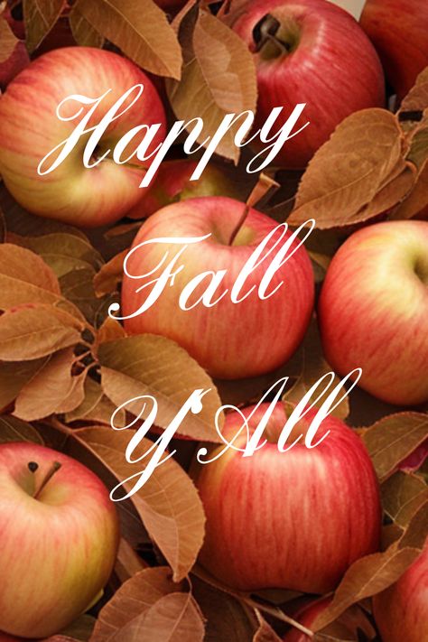 A free phone wallpaper of Apples Harvest. Happy Fall Y'All. It's a season of Harvest, a time for enjoying your efforts. You will Harvest what you Plant. Enjoy the fruits of your labor. Wallpaper Happy, Fall Aesthetics, Scene Wallpaper, Free Phone Wallpaper, Apple Harvest, Harvest Time, Happy Fall Y'all, Happy Fall, Hello Autumn