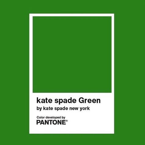 Kate Spade Color Palette, Andy Spade, Kate Spade Party, Kate Spade Green, Kate Spade Style, Kebabs, Color Crush, Personal Brand, 30th Anniversary