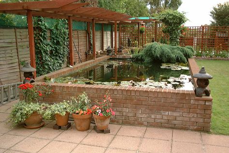 Above Ground Pond, Backyard Fountain, Raised Pond, Pond Construction, Affordable Backyard Ideas, Building A Pond, Fountains Backyard, Koi Ponds, Pond Water Features