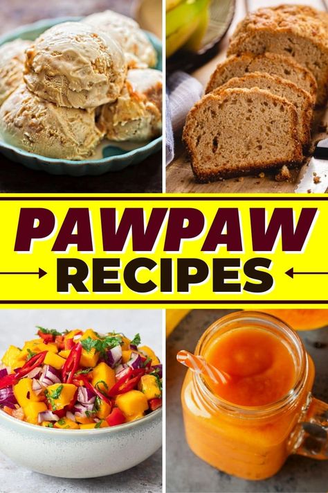 try these pawpaw recipes for fruity dishes the family will love. From salsa to bread to muffins, you won't be able to get enough pawpaw. Paw Paw Recipes, Pawpaw Bread Recipe, Tropical Fruit Recipes, Pawpaw Recipes, Paw Paw Fruit, Appalachian Recipes, Cocktail Pool, Culinary Tips, Farm Recipes