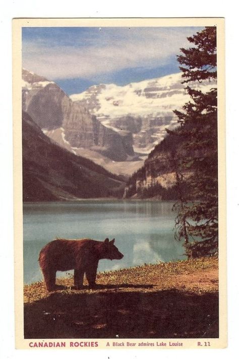 Bear Lake Louise, Brown Bear, Lake, Range, Water