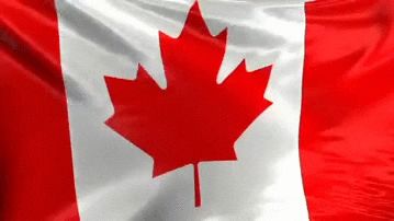 via GIPHY Canada Gif, Different Country Flags, Flag Gif, Ag Day, Child Behavior Chart, Red Photography, Happy Canada Day, Charitable Giving, Flag Pins