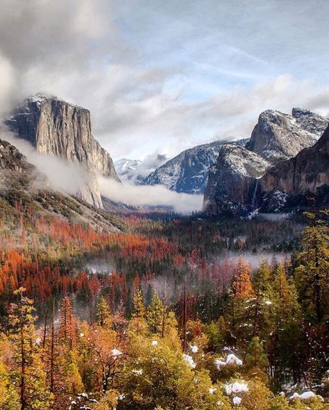 Yosemite’s tunnel view in the fall. Will you be making a trip here this year? — #StayWild ��� Tunnel View Yosemite, Yosemite Aesthetic, Calm Pictures, Yosemite Photography, Nature Places, 2024 Travel, Yosemite Park, Fav Place, Personal Aesthetic