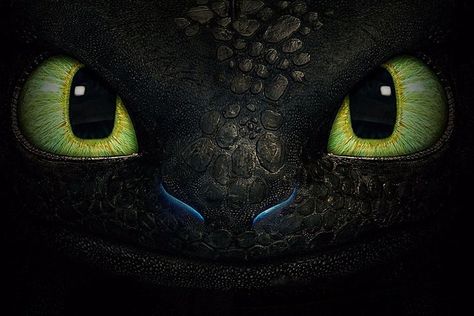 Easy Toothless Costume: 7 Steps (with Pictures) Portugues Language, Toothless Wallpaper, Toothless Costume, Dragon Wallpaper Iphone, Toothless Dragon, Gif Disney, Pinterest Seo, Hd Wallpapers For Mobile, Dragon 2