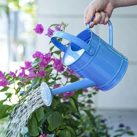 Amazon.com : Sungmor 1.5 Liter Small Bright Green Watering Can for Indoor Outdoor Plants, Cute Little Kids Gardening Watering Cans, Lightweight Portable Metal Watering Can, Anti-Rust Pretty Bucket Watering Device : Patio, Lawn & Garden Toddler Garden, Plants Cute, Small Watering Can, Kids Gardening, Metal Watering Can, Watering Cans, Garden Tool Set, Gardening For Kids, Mini Garden