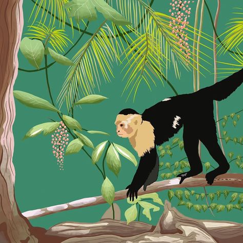 Melissa Kirkpatrick on Instagram: “Throwback to my Costa Rica trip, this was a monkey ready to steal everyone’s unguarded possessions on the beach 🐒 . . . #monkey #capuchin…” Capuchin Monkey Illustration, Costa Rica Painting, Costa Rica Animals, Costa Rica Trip, Costa Rica Art, Costa Rica Wildlife, Coffee Package, Monkey Illustration, Capuchin Monkey