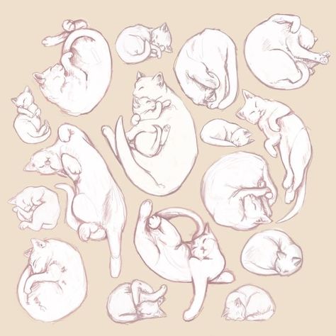 Deviantart Anime, Sleeping Drawing, Sleeping Cats, Back Drawing, Cat Drawing Tutorial, Kitten Drawing, Cat Anatomy, 2024 Art, Cat Sketch