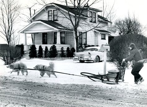 East Akron History... typical Winter in Northeast Ohio... LoL Urban Housing, Sled Dog, Ohio History, National Puppy Day, Summit County, Akron Ohio, Northeast Ohio, Lake Erie, Dog Sledding