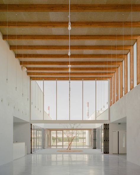 RAUM, Charles Bouchaïb · Cultural center · Divisare Cultural Center Architecture, Auditorium Architecture, Church Building Design, Atrium Design, School Hall, Architecture Design Process, Rehearsal Room, Community Halls, Timber Buildings