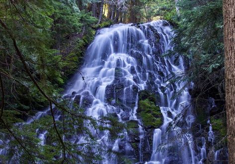 Ramona Falls Trailhead Waterfalls In Oregon, Ramona Falls, Picnic Outdoor, Oregon Waterfalls, Mount Hood, Beautiful Waterfalls, Travel Inspiration, Oregon, Hiking