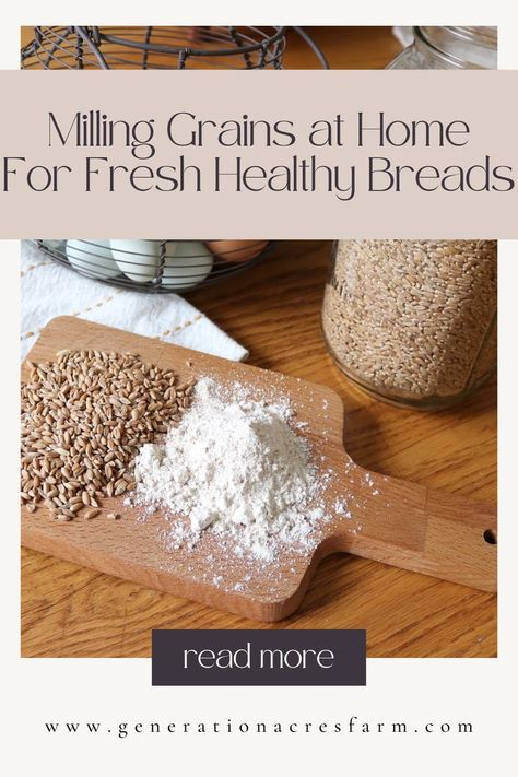 photo of whole wheat berries and freshly milled flour Grains In Small Places, Milling Grains, Homestead Cooking, Healthy Breads, Family Is Forever, Alternative Sweeteners, Refined Sugar Free Recipes, Grain Mill, Cast Iron Recipes